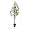 6ft. Potted Dogwood Tree with Real Touch Leaves